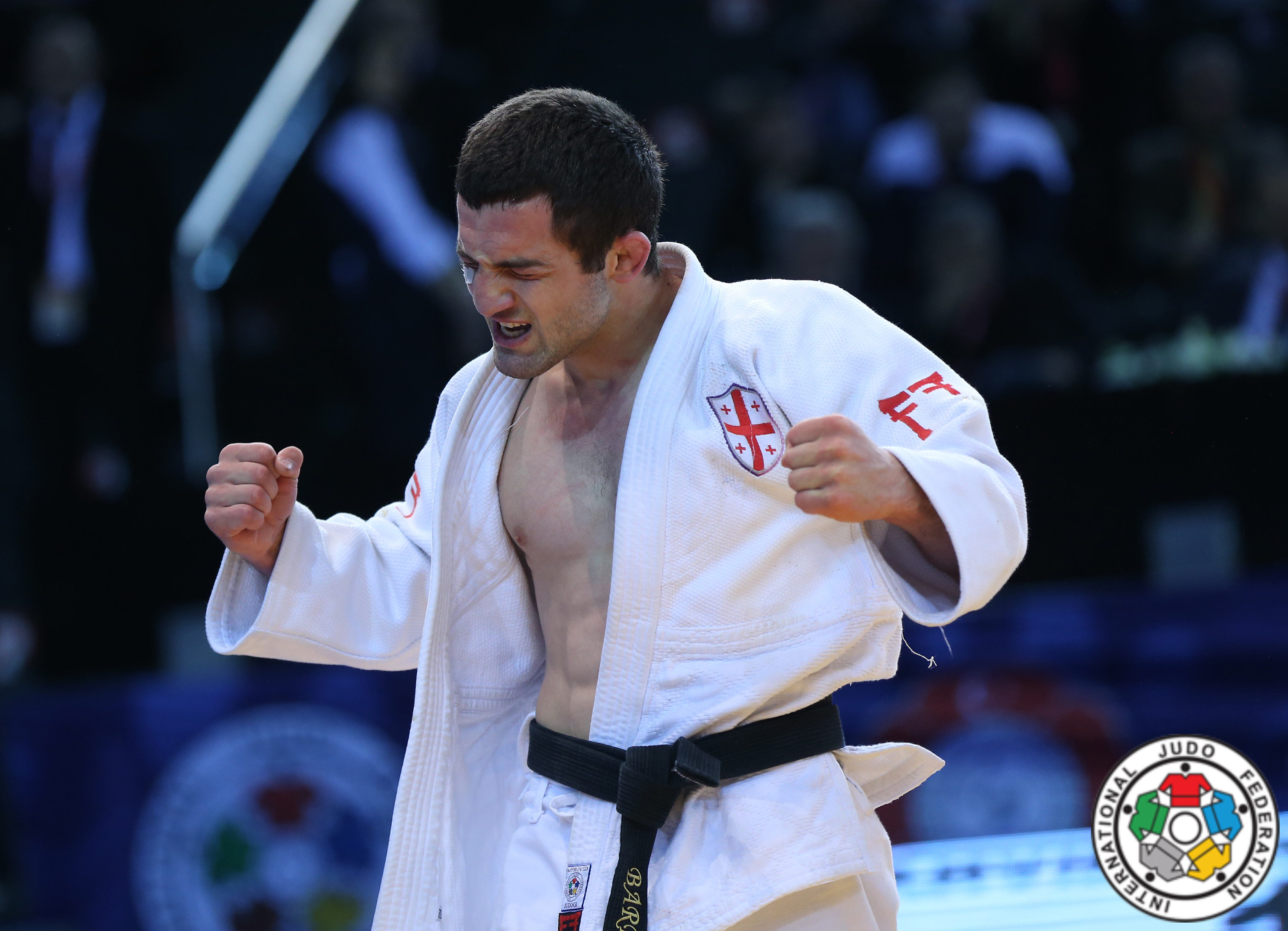 Georgian Judo Federation